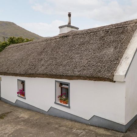 The Thatched Cottage Liscarney 外观 照片