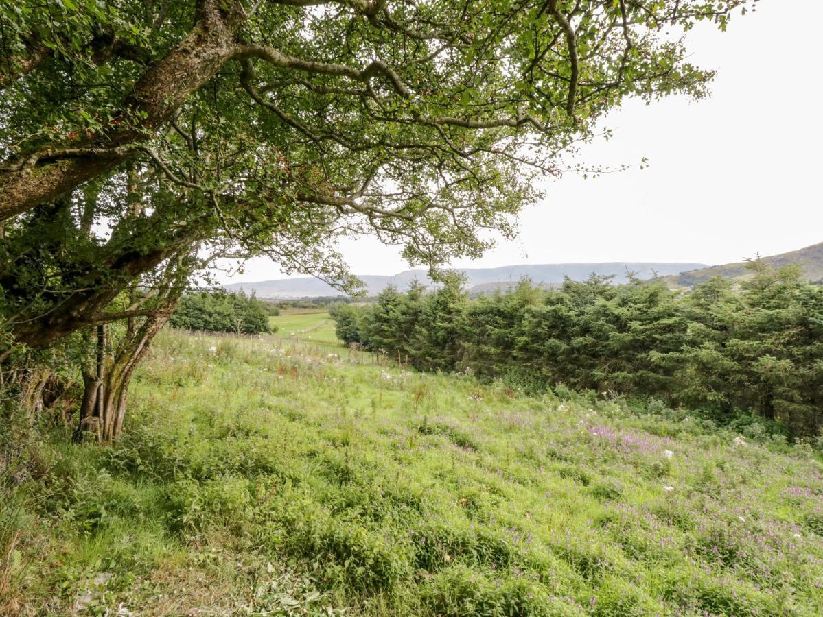 The Thatched Cottage Liscarney 外观 照片