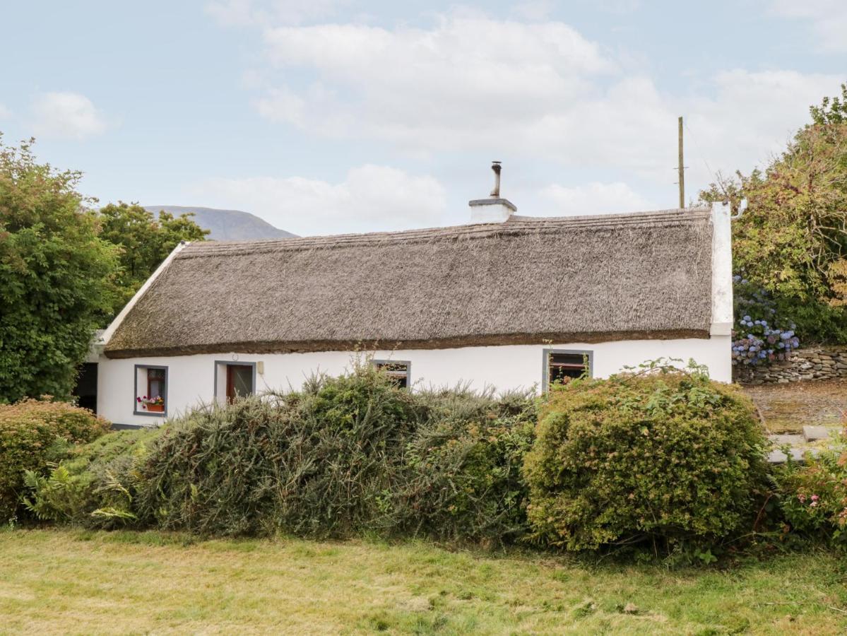 The Thatched Cottage Liscarney 外观 照片